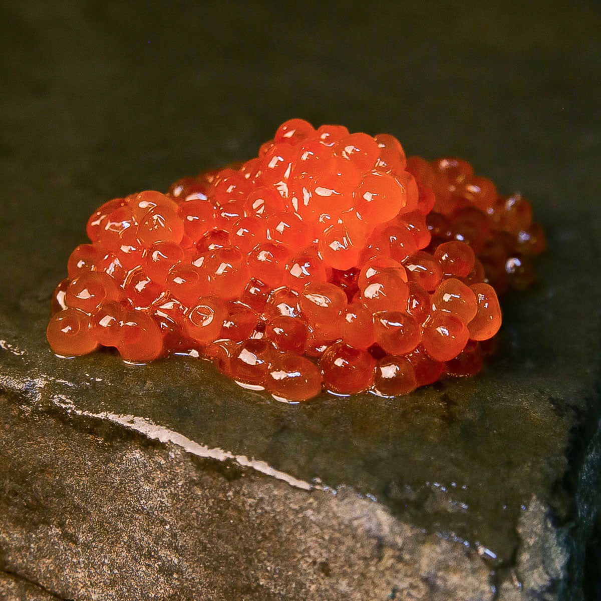 Alaska Keta Salmon Ikura Close Up - Salmon Caviar - Salmon Eggs