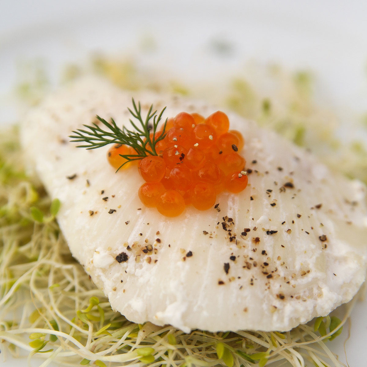 Alaska Keta Salmon Ikura atop Fish Fillet - Salmon Caviar - Salmon Eggs