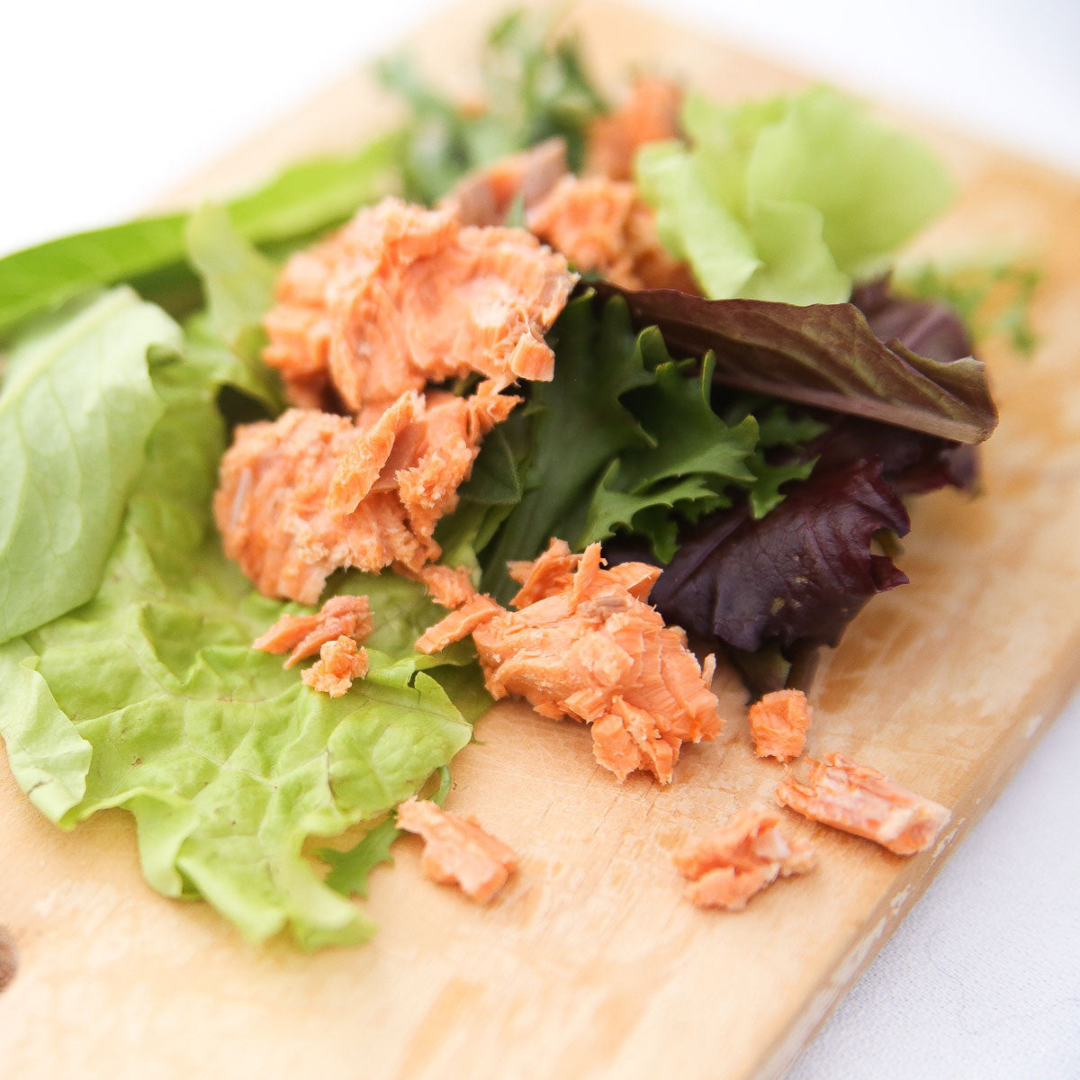 Canned Alaskan Sockeye Salmon
