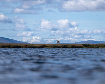 Savoring Bristol Bay: An Adventure Recap from Captain Steve